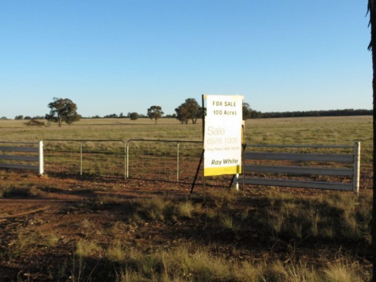 Lot 31, 74 Thanowring Road, Temora NSW 2666 - photo 17