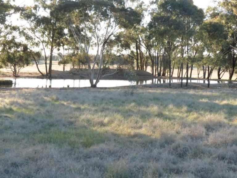 Lot 31, 74 Thanowring Road, Temora NSW 2666 - photo 8