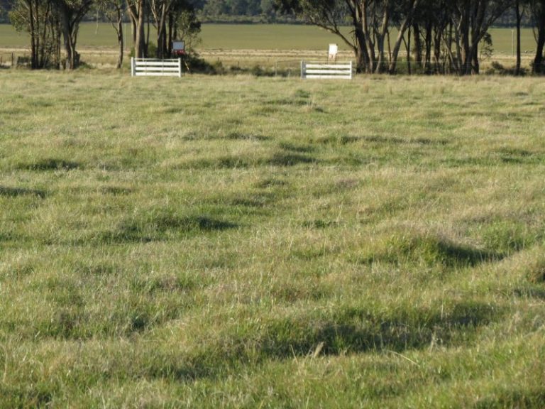 Lot 31, 74 Thanowring Road, Temora NSW 2666 - McGrath Riverina