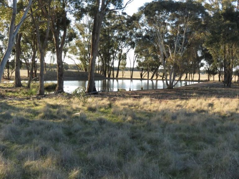 Lot 31, 74 Thanowring Road, Temora NSW 2666 - photo 9