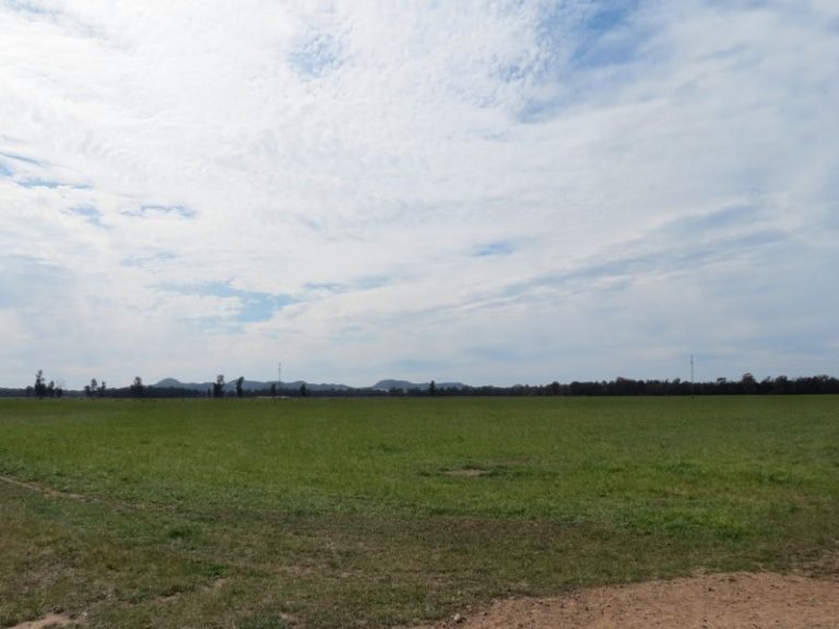 665 Trungley Hall Road, Temora NSW 2666 - photo 2