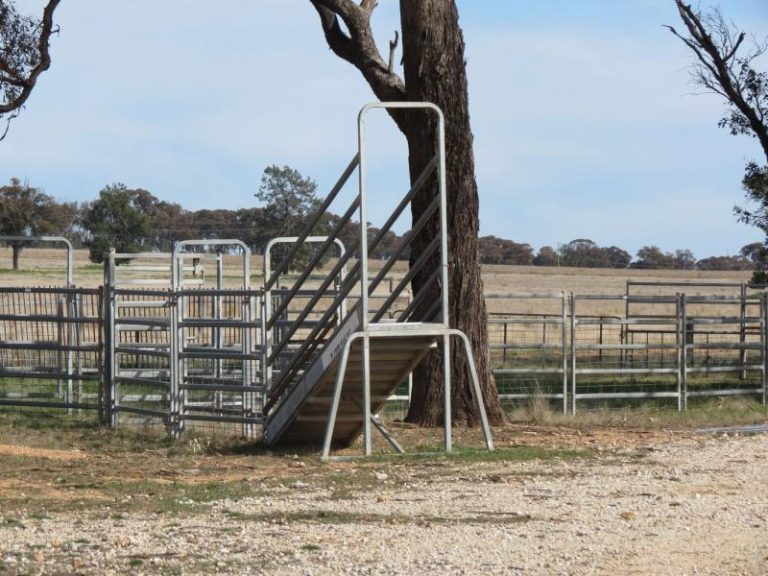 665 Trungley Hall Road, Temora NSW 2666 - photo 11