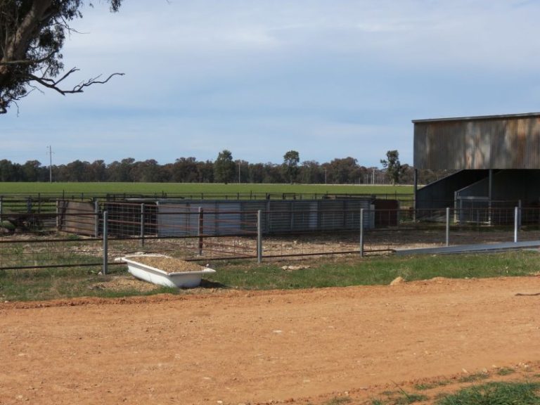 665 Trungley Hall Road, Temora NSW 2666 - photo 12