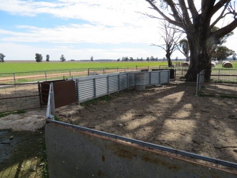 665 Trungley Hall Road, Temora NSW 2666 - photo 15