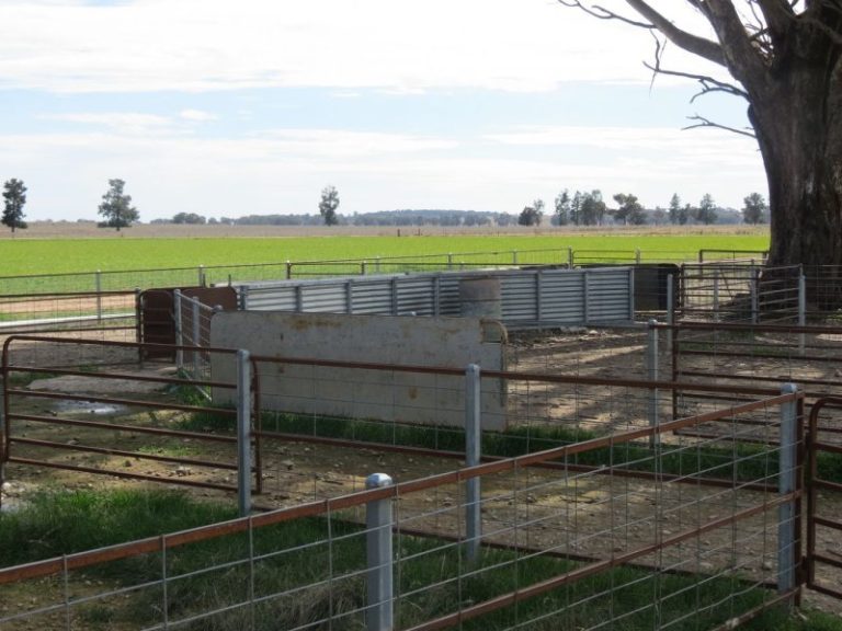 665 Trungley Hall Road, Temora NSW 2666 - photo 16