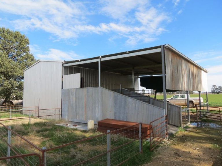 665 Trungley Hall Road, Temora NSW 2666 - photo 17