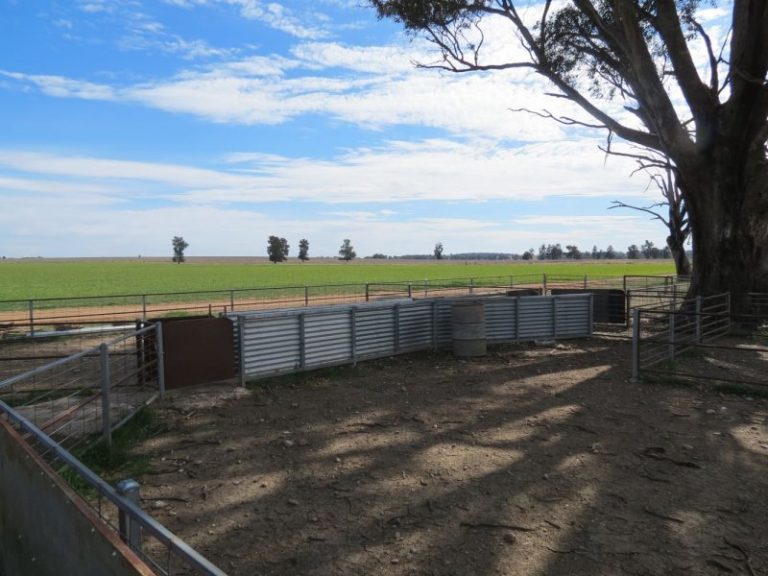 665 Trungley Hall Road, Temora NSW 2666 - photo 18