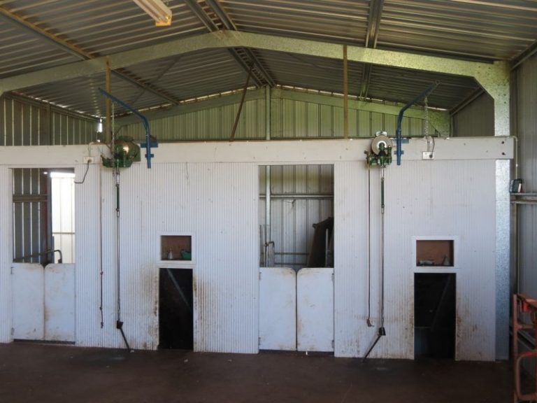 665 Trungley Hall Road, Temora NSW 2666 - photo 19