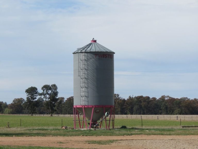 665 Trungley Hall Road, Temora NSW 2666 - photo 4