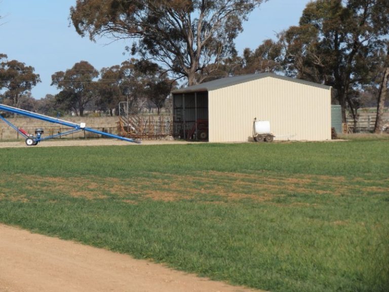 665 Trungley Hall Road, Temora NSW 2666 - photo 7