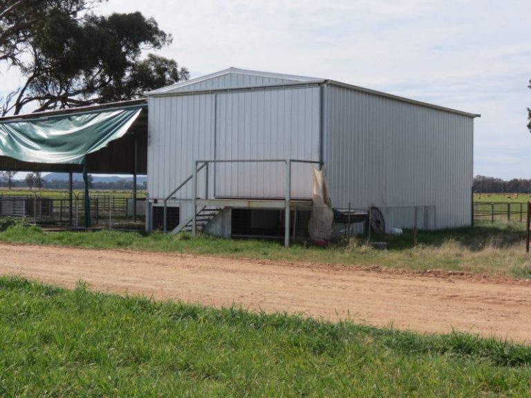 665 Trungley Hall Road, Temora NSW 2666 - photo 10