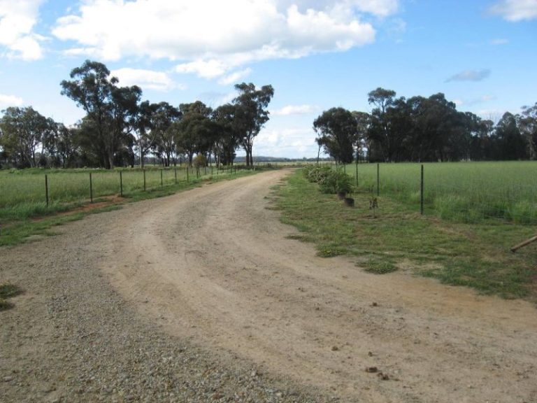 7375 Burley Griffin Way, Temora NSW 2666 - photo 11