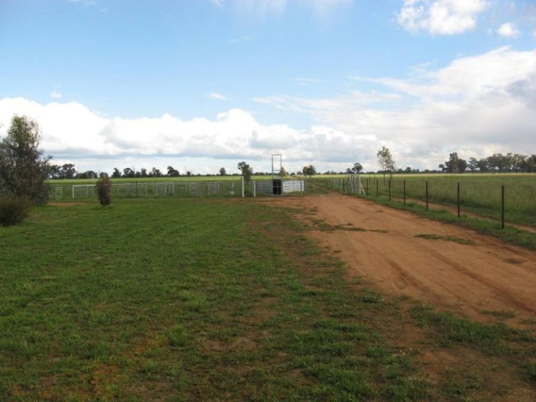 7375 Burley Griffin Way, Temora NSW 2666 - photo 13