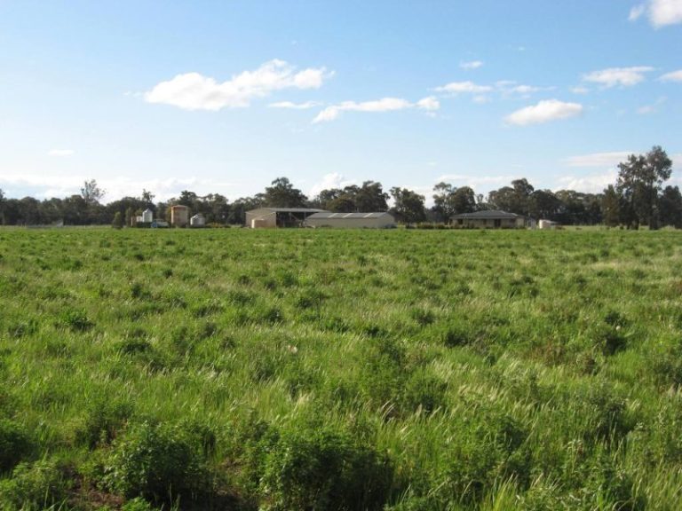 7375 Burley Griffin Way, Temora NSW 2666 - photo 14