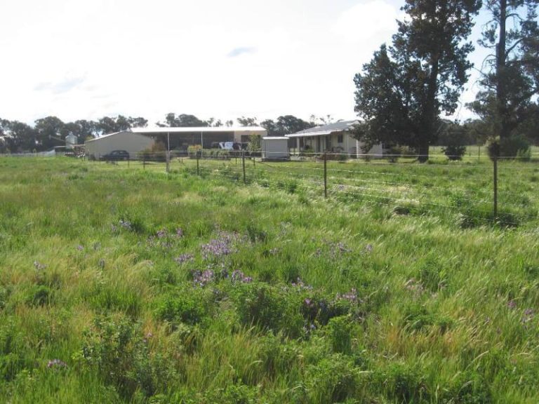 7375 Burley Griffin Way, Temora NSW 2666 - photo 15