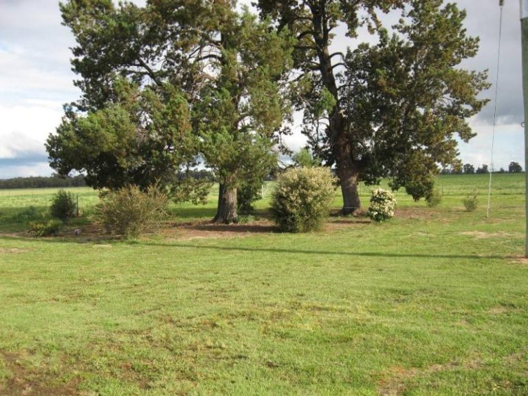 7375 Burley Griffin Way, Temora NSW 2666 - photo 19