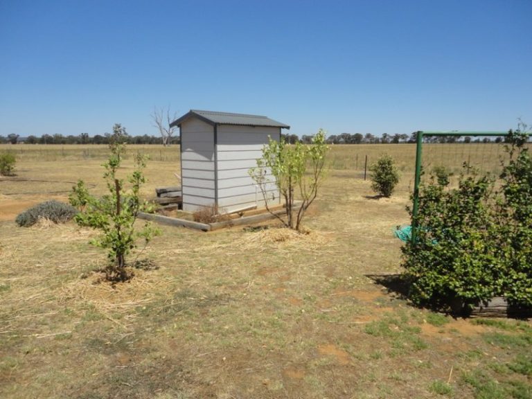 7375 Burley Griffin Way, Temora NSW 2666 - photo 26