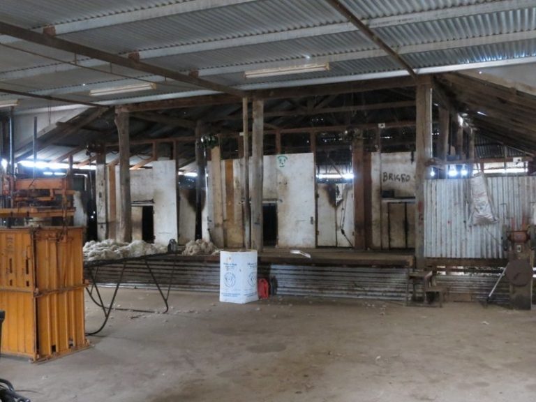969 Thanowring Road, Temora NSW 2666 - photo 3
