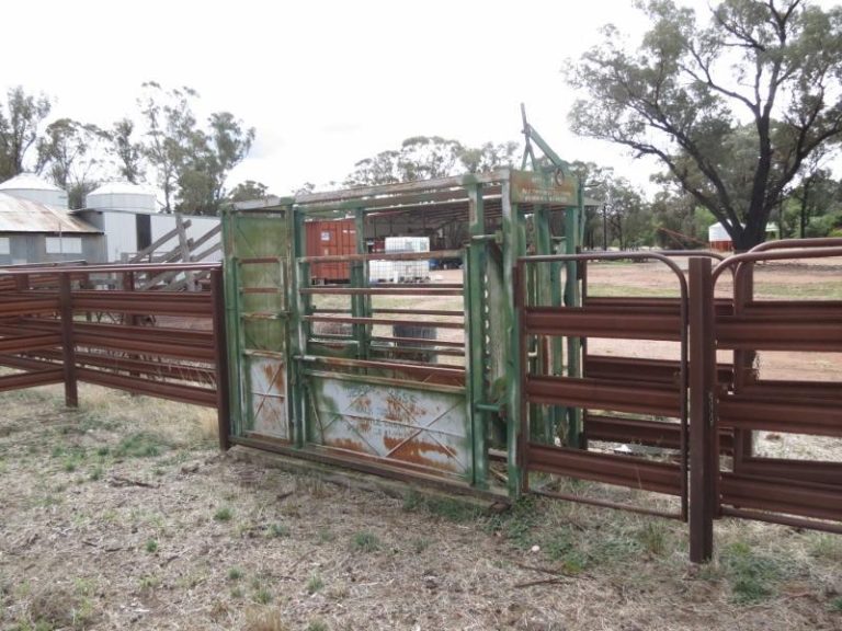 969 Thanowring Road, Temora NSW 2666 - photo 4