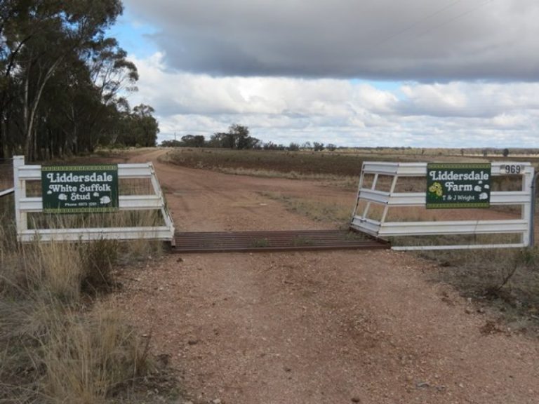 969 Thanowring Road, Temora NSW 2666 - McGrath Riverina