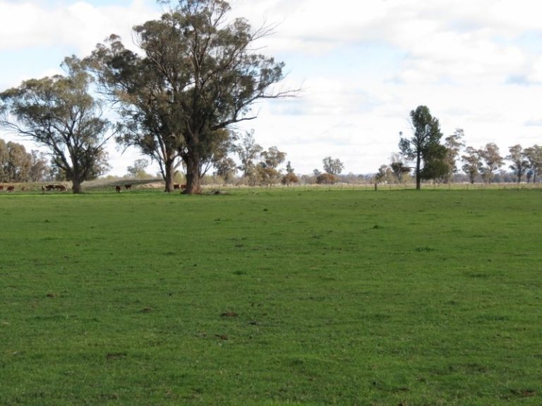 119 Bland Estate Road, Bribbaree NSW 2594 - photo 17