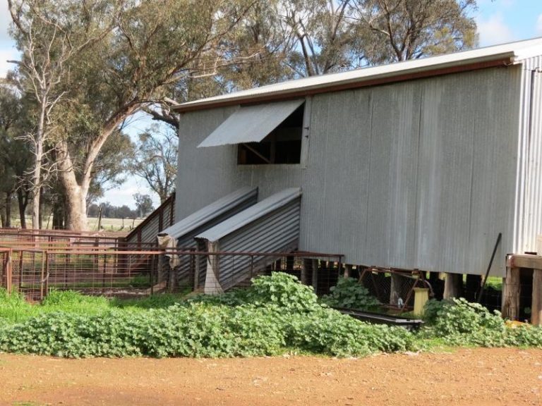 119 Bland Estate Road, Bribbaree NSW 2594 - photo 3