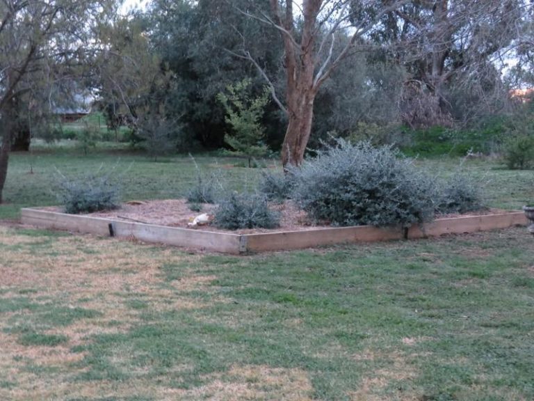 256 Peels Lane, Bribbaree NSW 2594 - photo 26