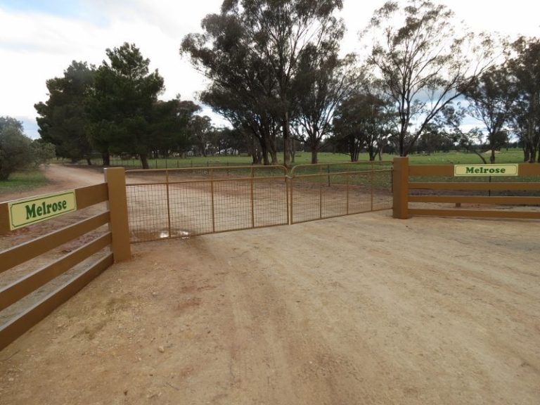 Melrose Trigalong Road, Temora NSW 2666 - photo 2