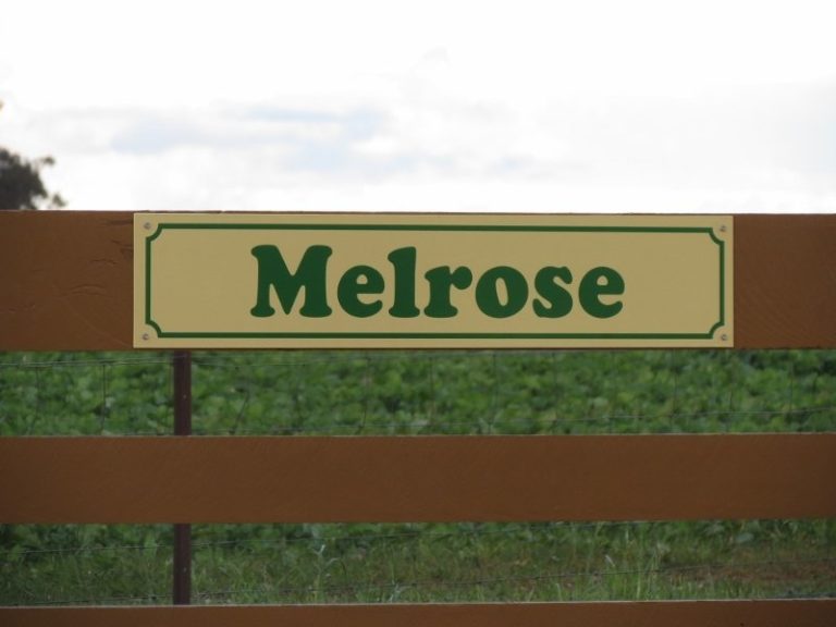 Melrose Trigalong Road, Temora NSW 2666 - photo 16