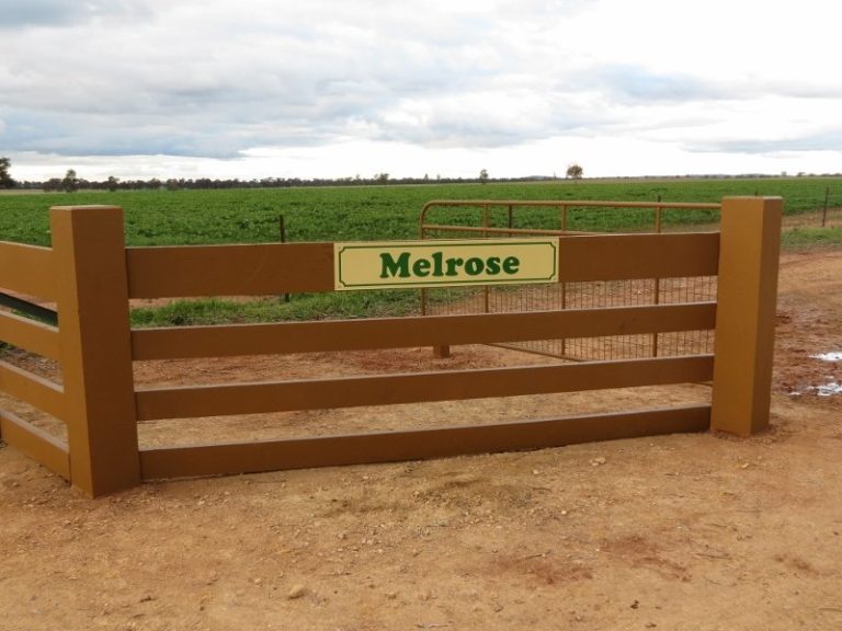 599 Trigalong Road, Temora NSW 2666 - photo 19