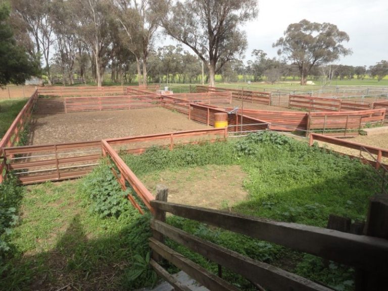 599 Trigalong Road, Temora NSW 2666 - photo 23