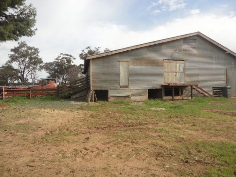 599 Trigalong Road, Temora NSW 2666 - photo 26
