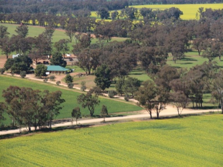 599 Trigalong Road, Temora NSW 2666 - photo 5