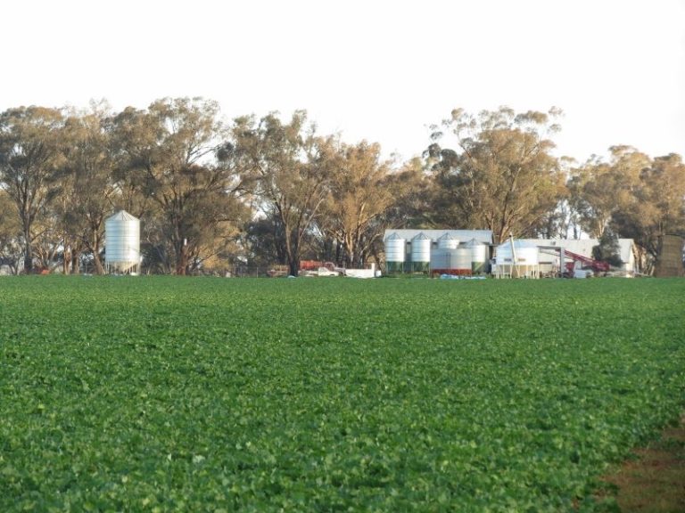 599 Trigalong Road, Temora NSW 2666 - photo 6