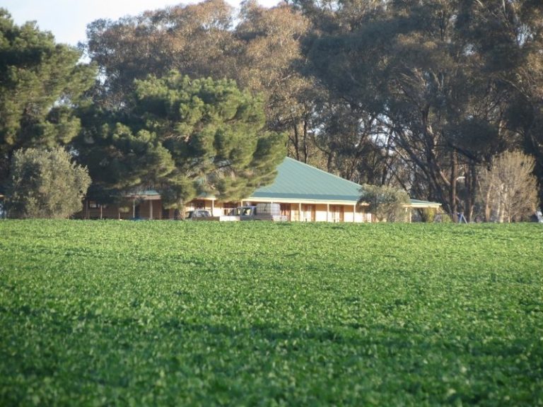 599 Trigalong Road, Temora NSW 2666 - photo 7