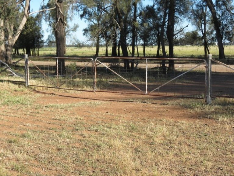 730 East Bland Lane, Quandialla NSW 2721 - photo 14