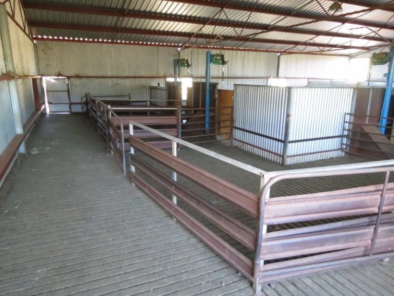 730 East Bland Lane, Quandialla NSW 2721 - photo 17