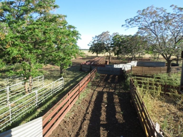 730 East Bland Lane, Quandialla NSW 2721 - photo 18