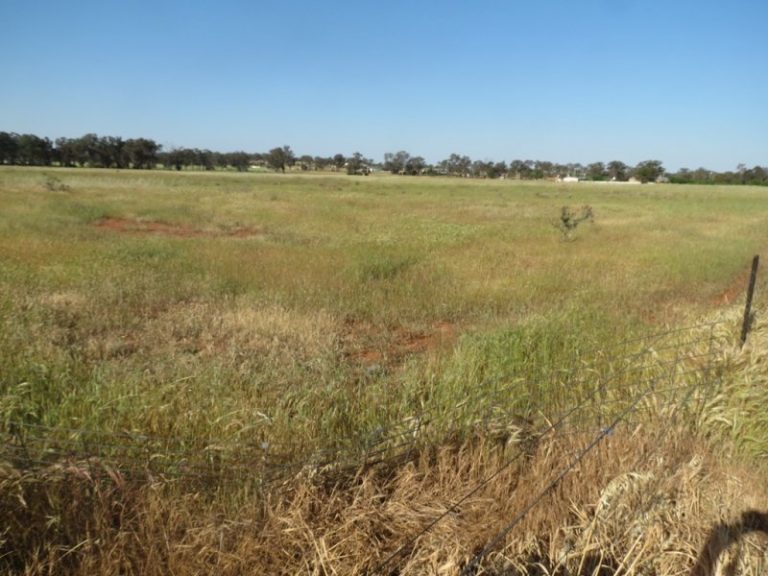 23-33 Chifley Street, Temora NSW 2666 - photo 2