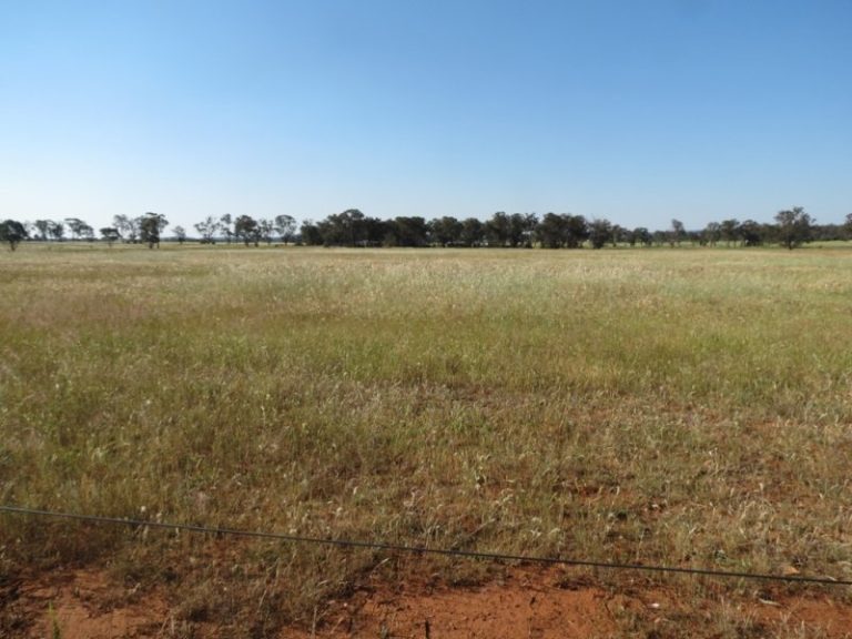 23-33 Chifley Street, Temora NSW 2666 - photo 3