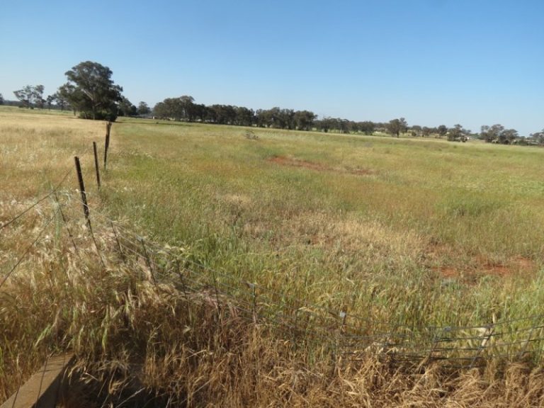 23-33 Chifley Street, Temora NSW 2666 - McGrath Riverina