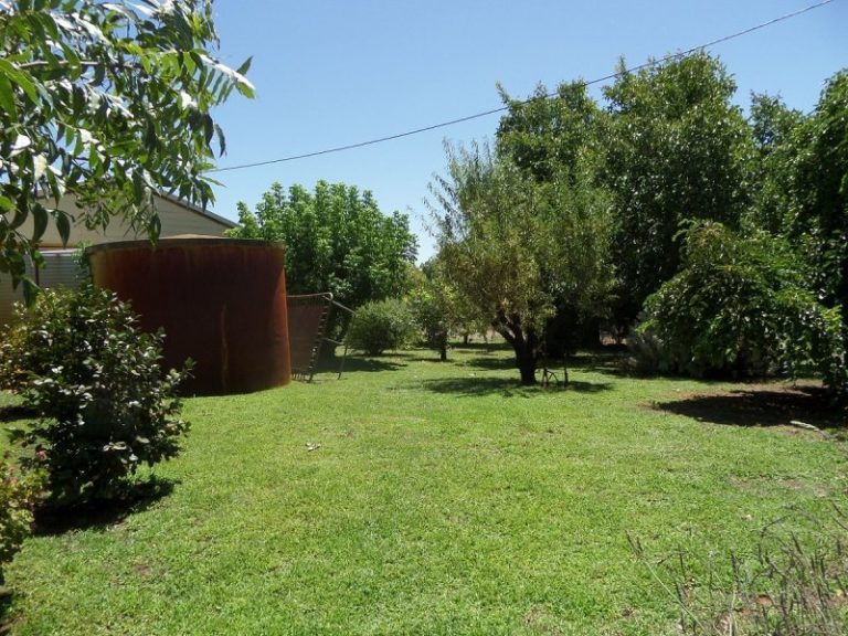 13 Gillenbah Creek Road, Narrandera NSW 2700 - photo 2