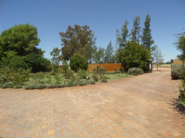 13 Gillenbah Creek Road, Narrandera NSW 2700 - photo 3