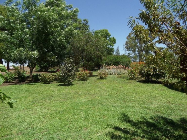 13 Gillenbah Creek Road, Narrandera NSW 2700 - photo 5