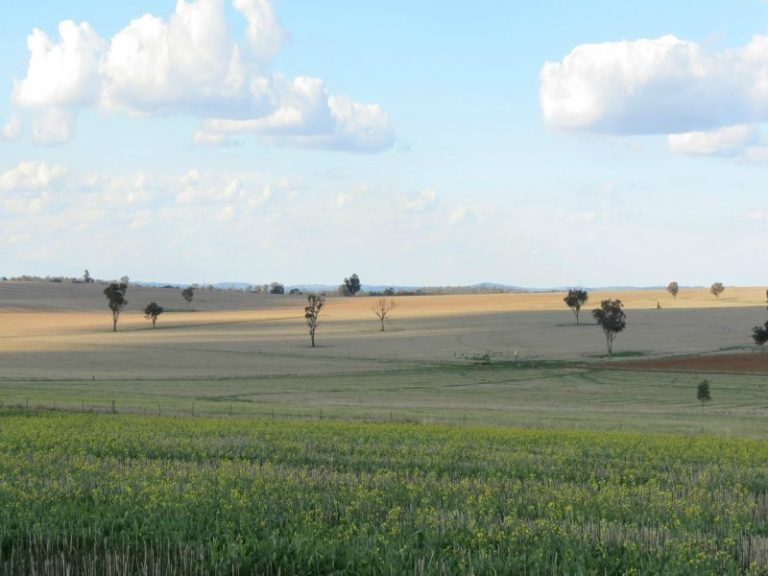3614 Goldfields Way, Temora NSW 2666 - McGrath Riverina
