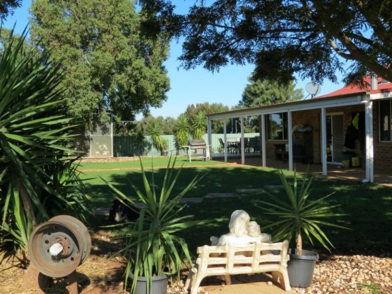 775 Dempsey Road, Leeton NSW 2705 - photo 5