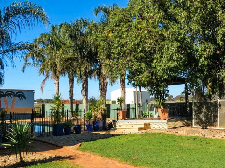 775 Dempsey Road, Leeton NSW 2705 - photo 6