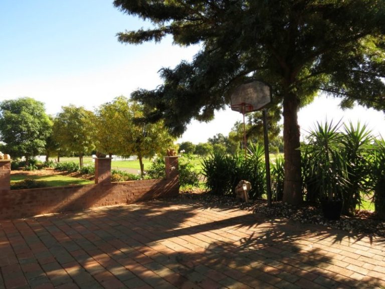 775 Dempsey Road, Leeton NSW 2705 - photo 7