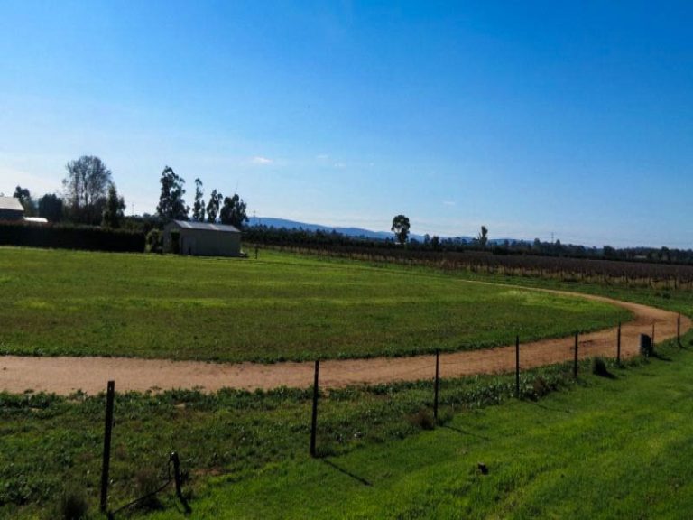 775 Dempsey Road, Leeton NSW 2705 - photo 8