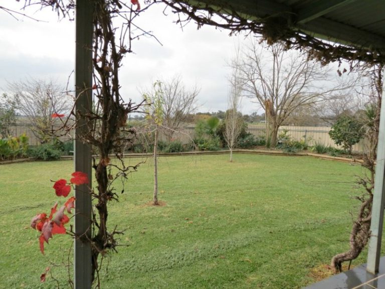 9 Brampton Street, Temora NSW 2666 - photo 12